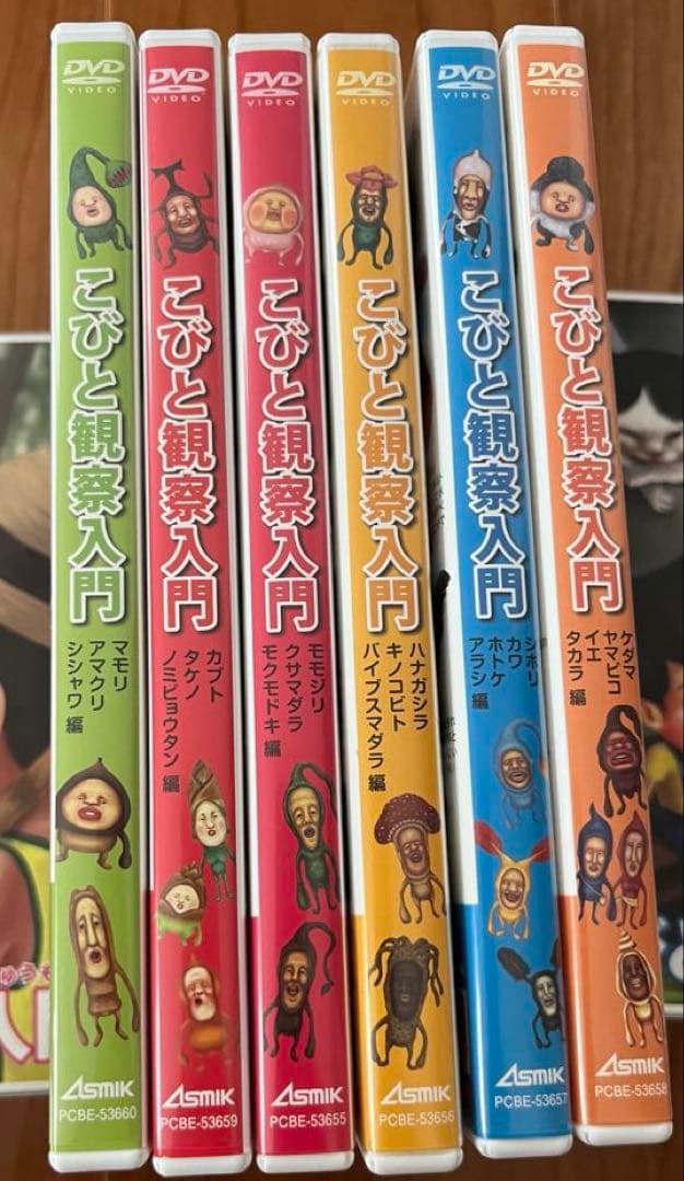 こびと観察入門 DVD BOX 2セット 単品2本 こびとづかん 中古DVD6枚
