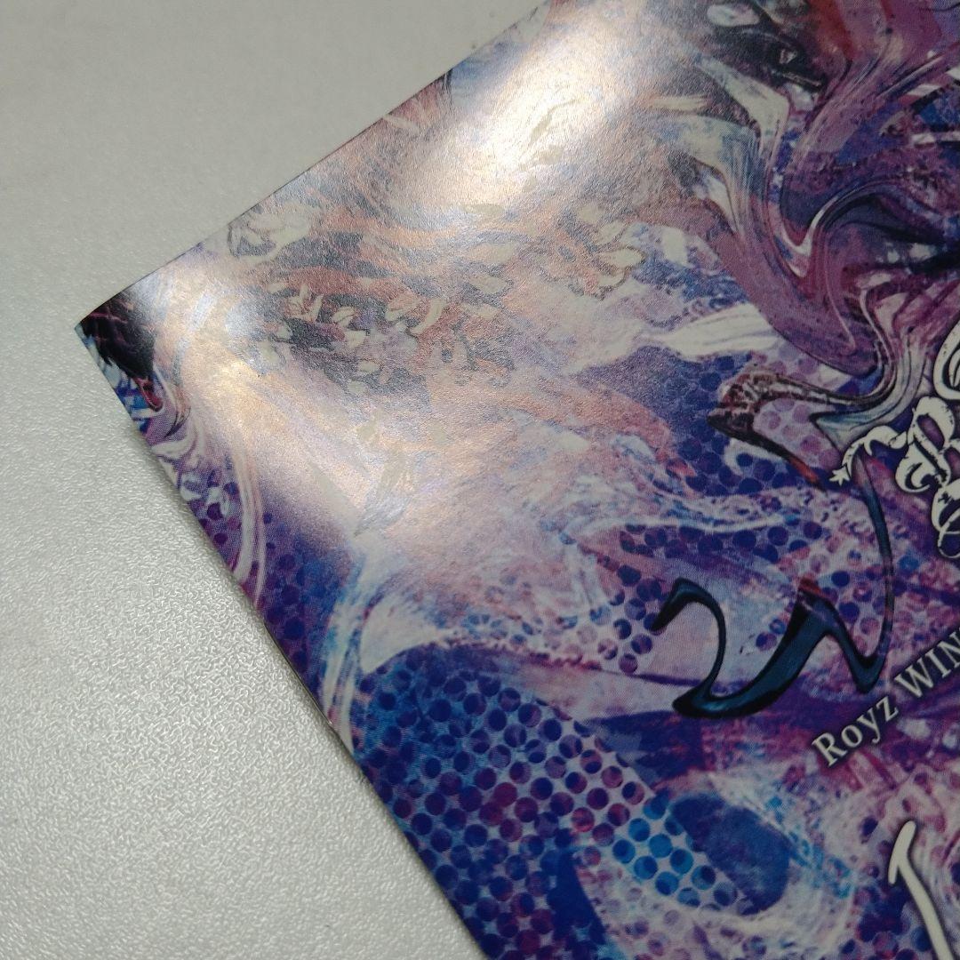 Royz I AM WHAT I AM DVD V系 ヴィジュアル系