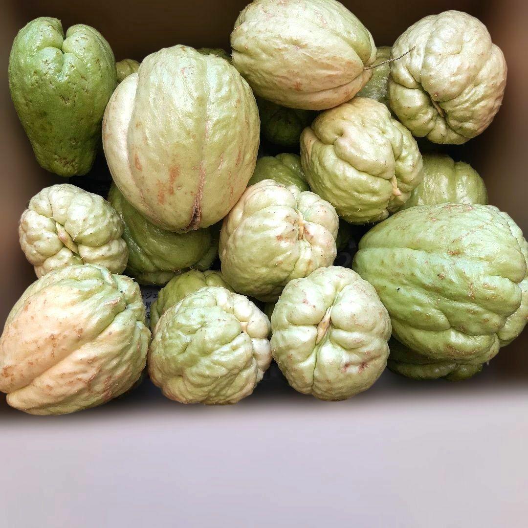 ハヤトウリ種用(自然農法) 22個(約7㎏) - メルカリ