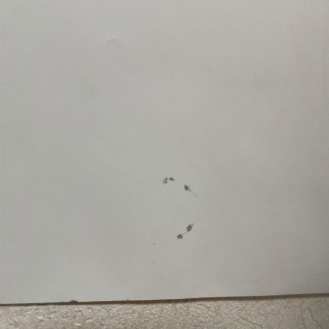 THERAMPAGE メンバー全員 直筆サイン - メルカリ