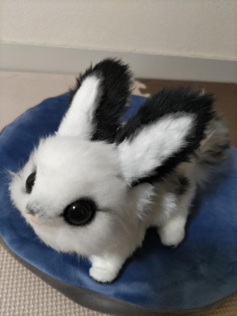 アートドール うさぎ うみうさ 幻獣 ぬいぐるみ 作家様 ハンドメイド