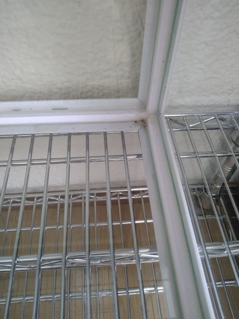 たいやき様専用 【引き取り限定】爬虫類倶楽部 ケージ 幅120✕奥45✕高