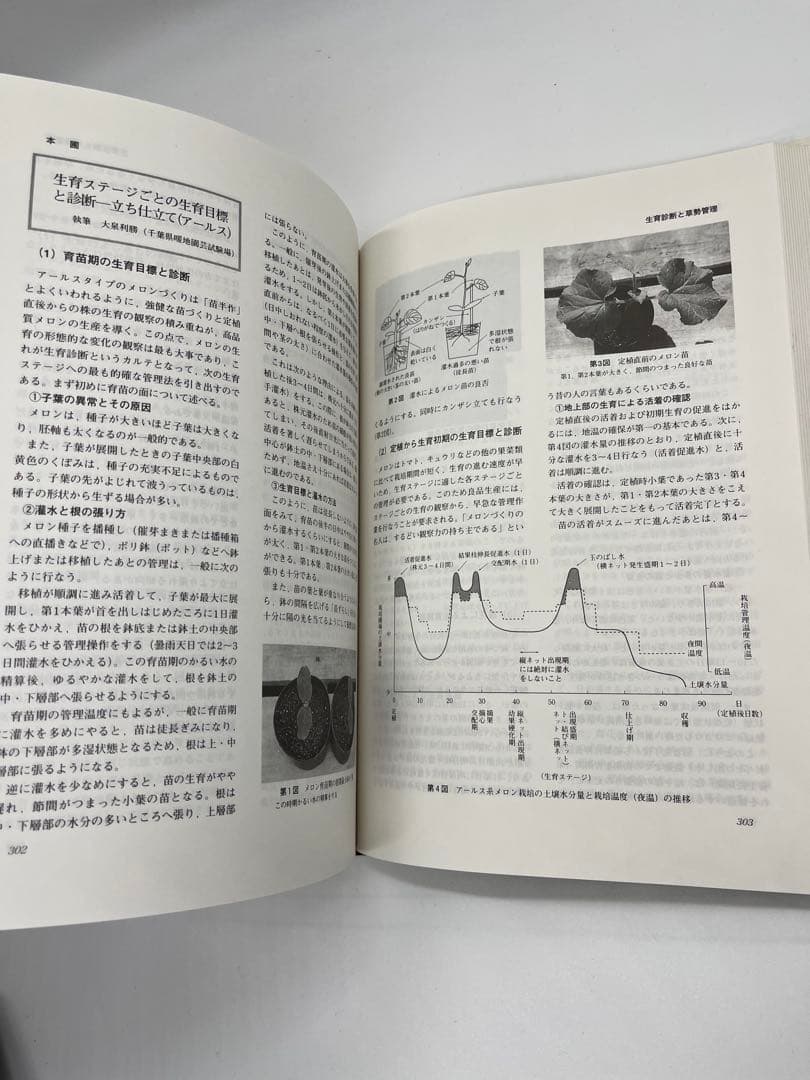 野菜園芸大百科 (4) 第2版 メロン - メルカリ