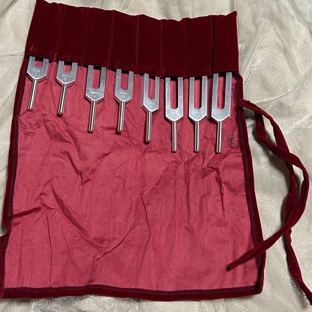 BIOSONICSソーラーハーモニックチューナー 8本チャクラ対応 - メルカリ