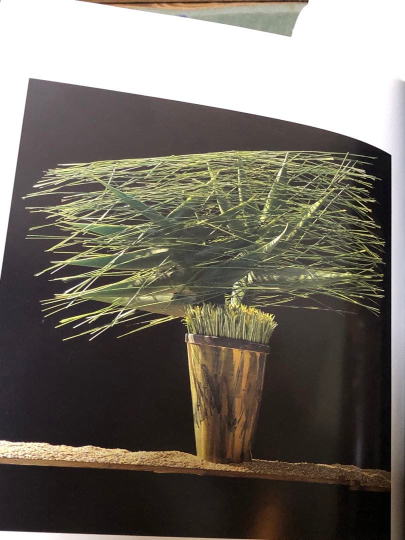 DANIEL OST ダニエル・オスト フラワーアート豪華写真集 美しい写真