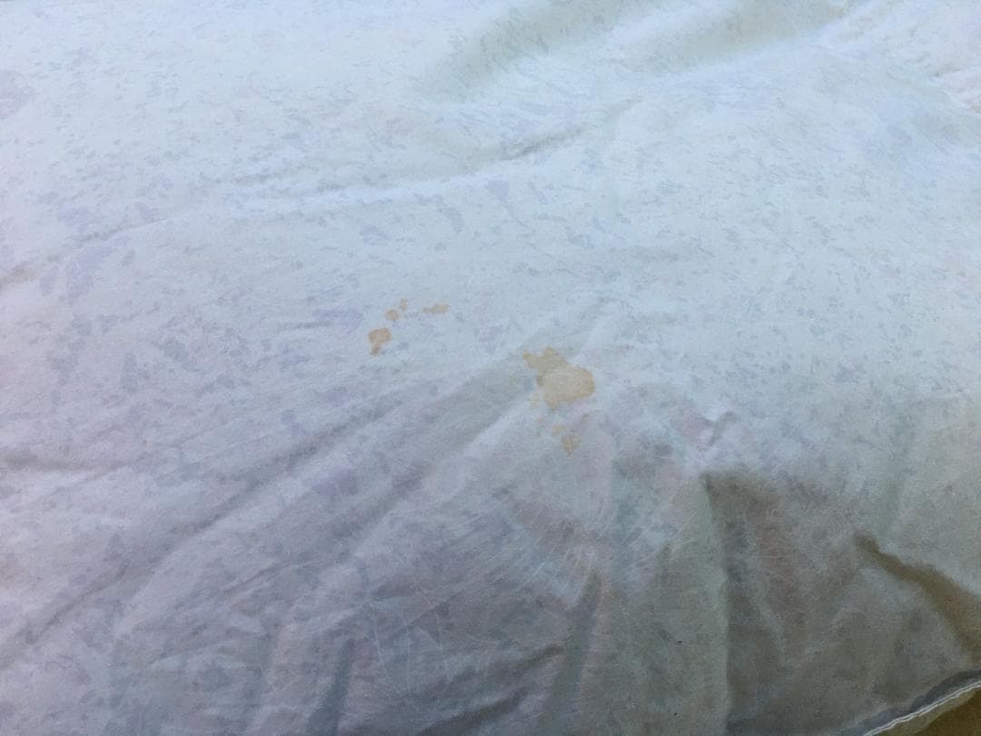 未使用 カーシーエンジョイ 羽毛掛ふとん EA-6665 1.3kg ハンガリー