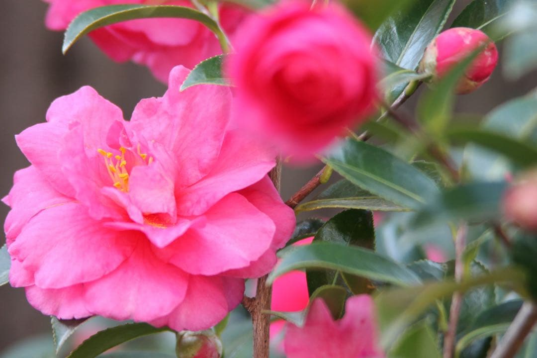 キヤノン　CANON EF 28-200mm f/3.5-5.6 USM ズーム