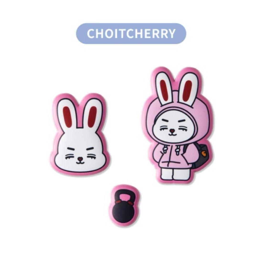 SEVENTEEN MINITEENミニティーンステッカーエスクプス - メルカリ