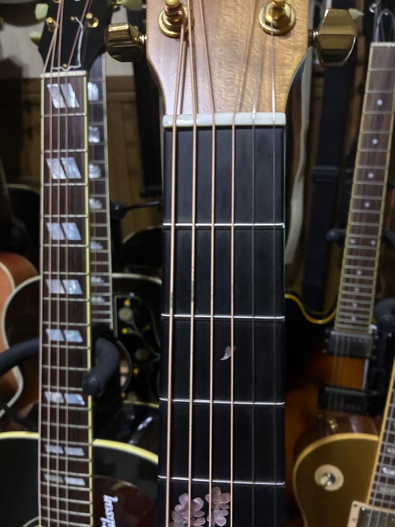 ヘッドウェイ　HF -SAKURA’24S/STD