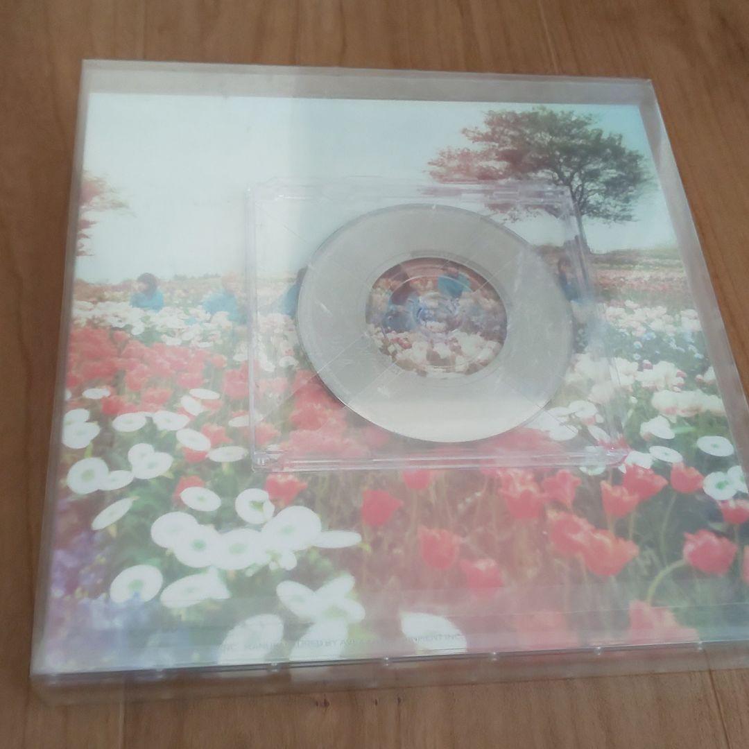 昭和レトロ！当時物『キャンディーズ/田中好子』木製ポスターパネル 53