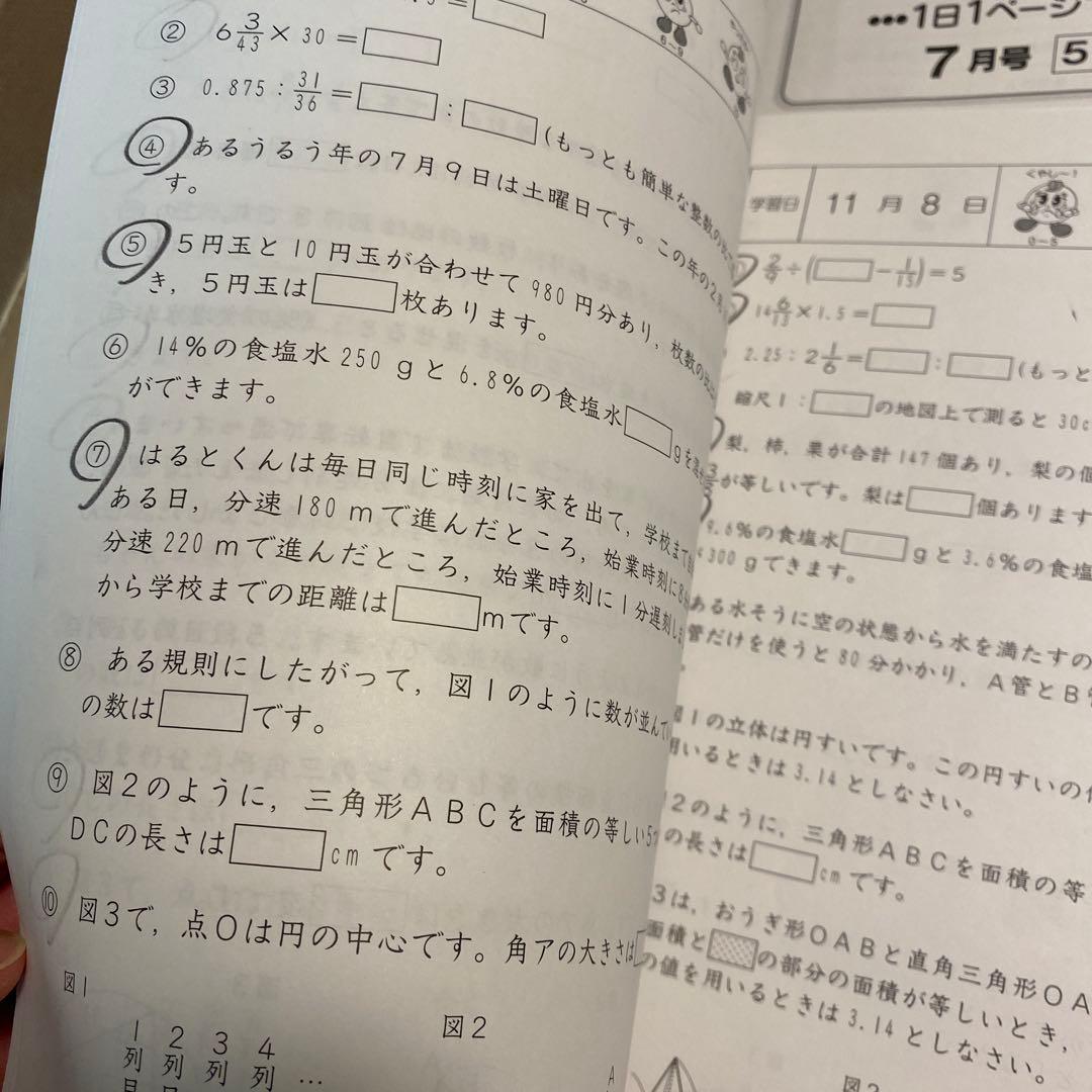 未記入】SAPIX 5年生 基礎力トレーニング 1年分12冊 - メルカリ