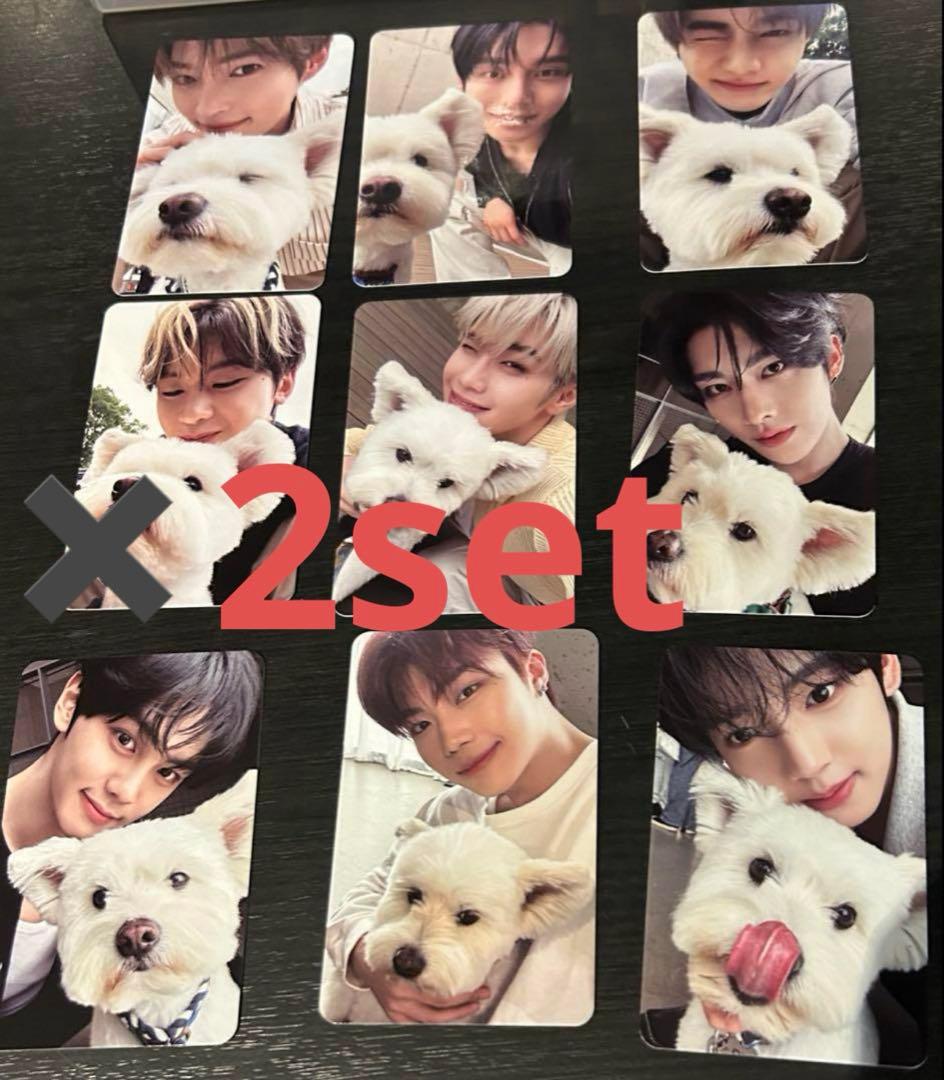 zerobaseone zb1 デジパ レオ トレカ コンプ 9種 - メルカリ