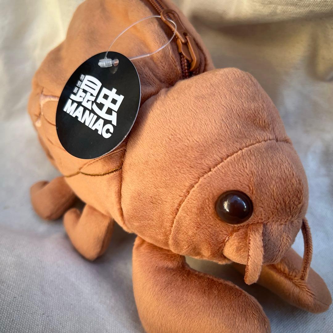 昆虫MANIAC マニアック セミの抜け殻からセミ ぬいぐるみ 科学博物館