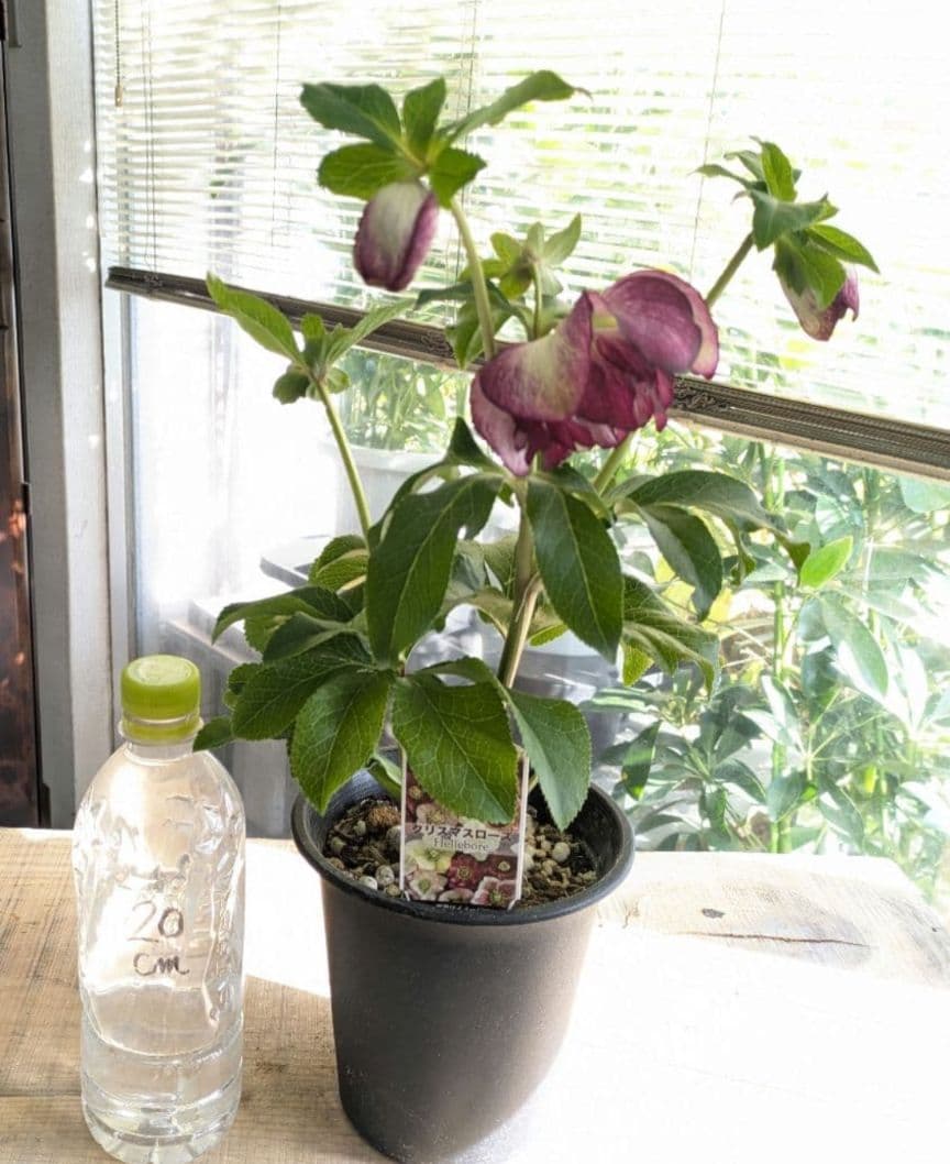 ♡ゆる様♡ LOVEと感謝とLOYALTY🌐🌐🌐