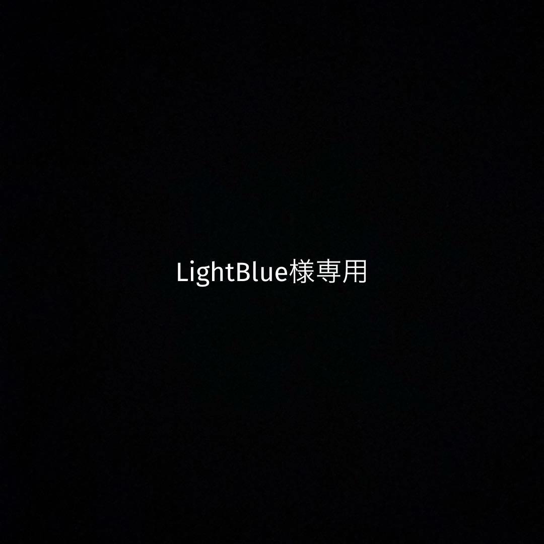 語学・辞書・学習参考書 LightBlue 辞書引き学習、海を渡る | 三省堂