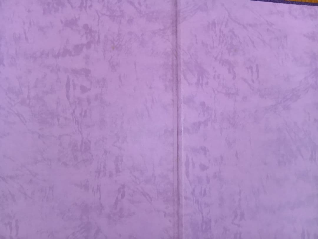 夢艶肌絵　（入墨/刺青をした女性の写真集）竹書房