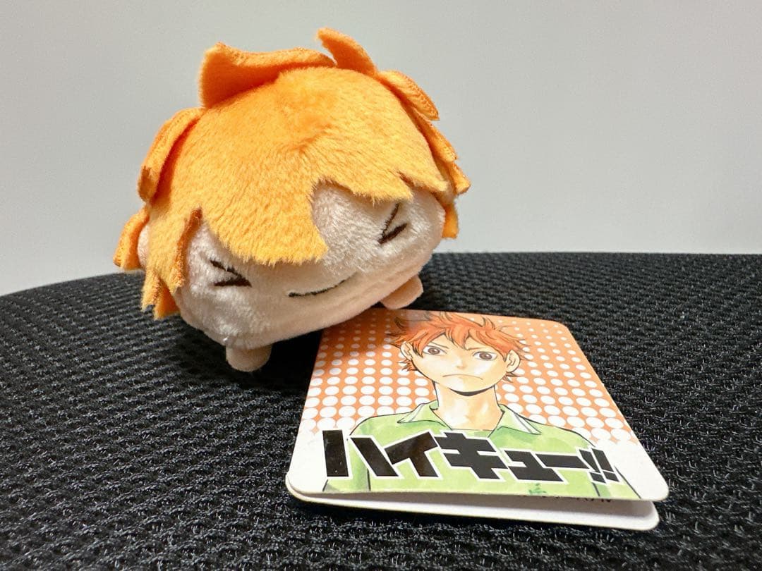 ハイキューのるキャラマスコット日向翔陽雪ヶ丘中学生Ver