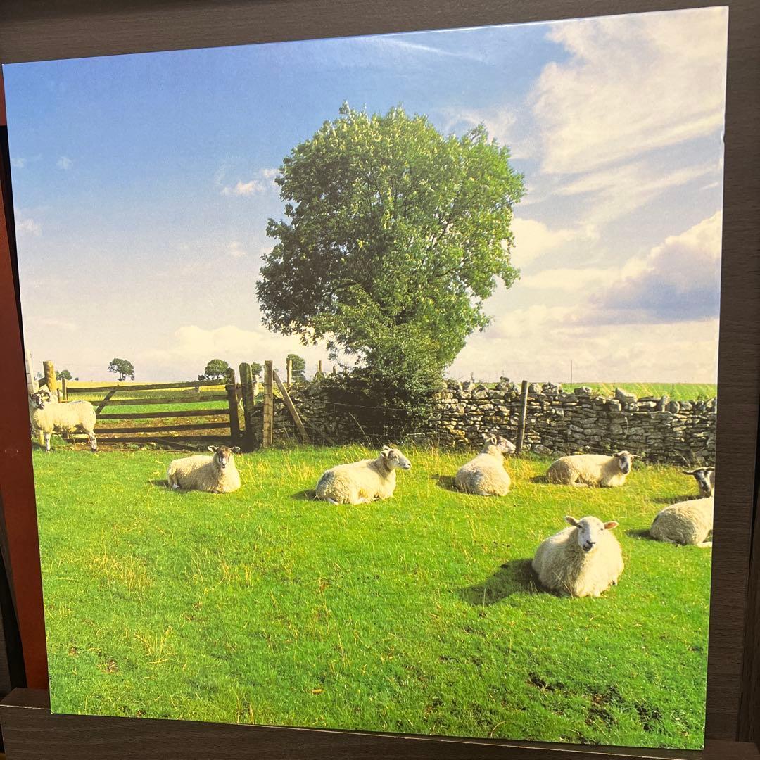 名盤KLF CHILL OUT 2017 CLEAR VINYLレコード CHILL OUT ALBUM (2017 CLEAR VINYL RE-ISSUE)/KLF/ロングセラー