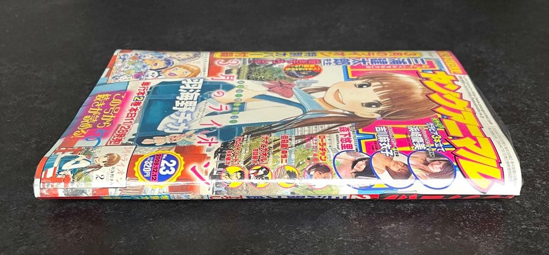 ●ヤングアニマル 2008年 No.23 ●3月のライオン 特別カバー 付録付き
