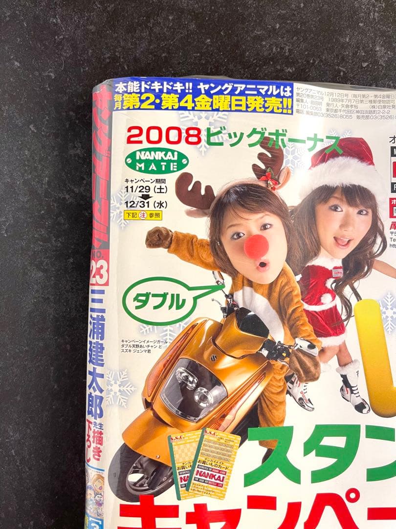●ヤングアニマル 2008年 No.23 ●3月のライオン 特別カバー 付録付き