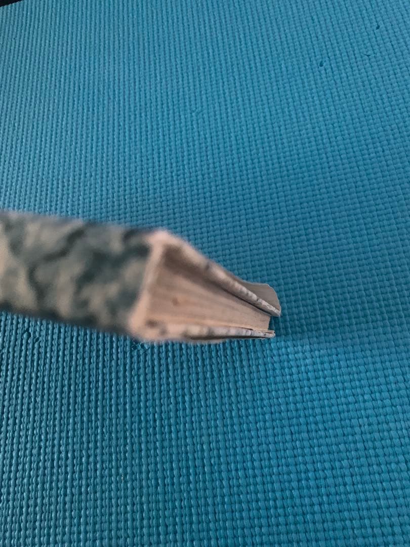 Furs for Men by Anna Municchi 【希少 激レア】