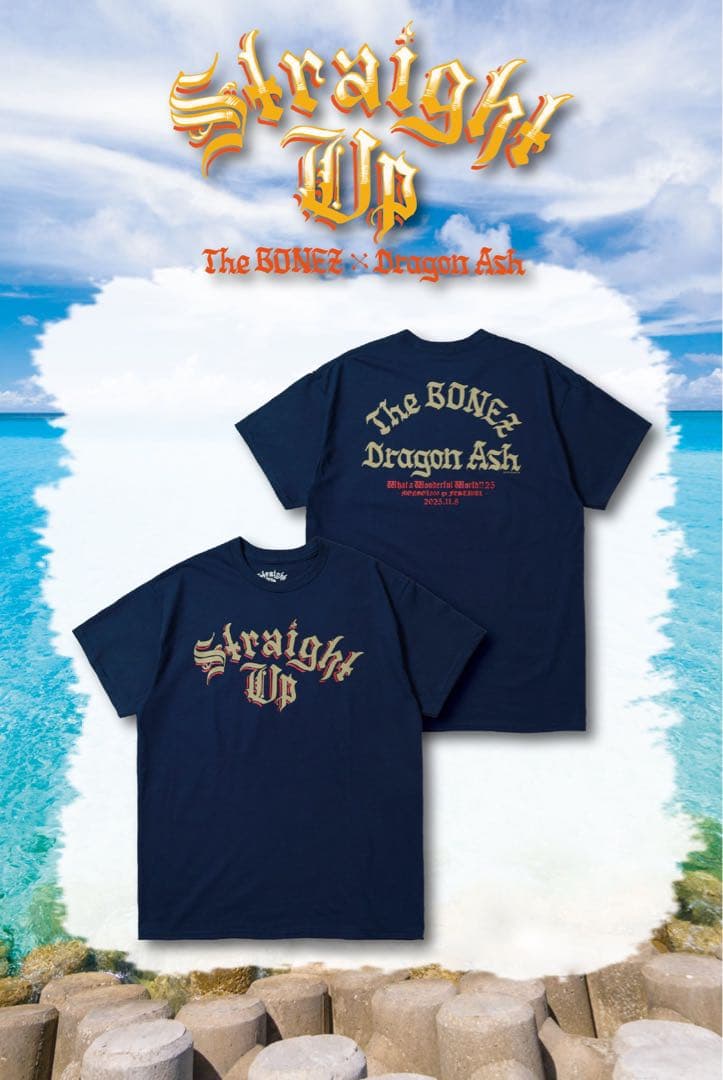 Straight Up 沖縄限定 Tシャツ ネイビー L 菊之露 赤ラベル tシャツ 泡盛t 沖縄 限定 酒造 コラボ 綿 ネイビー