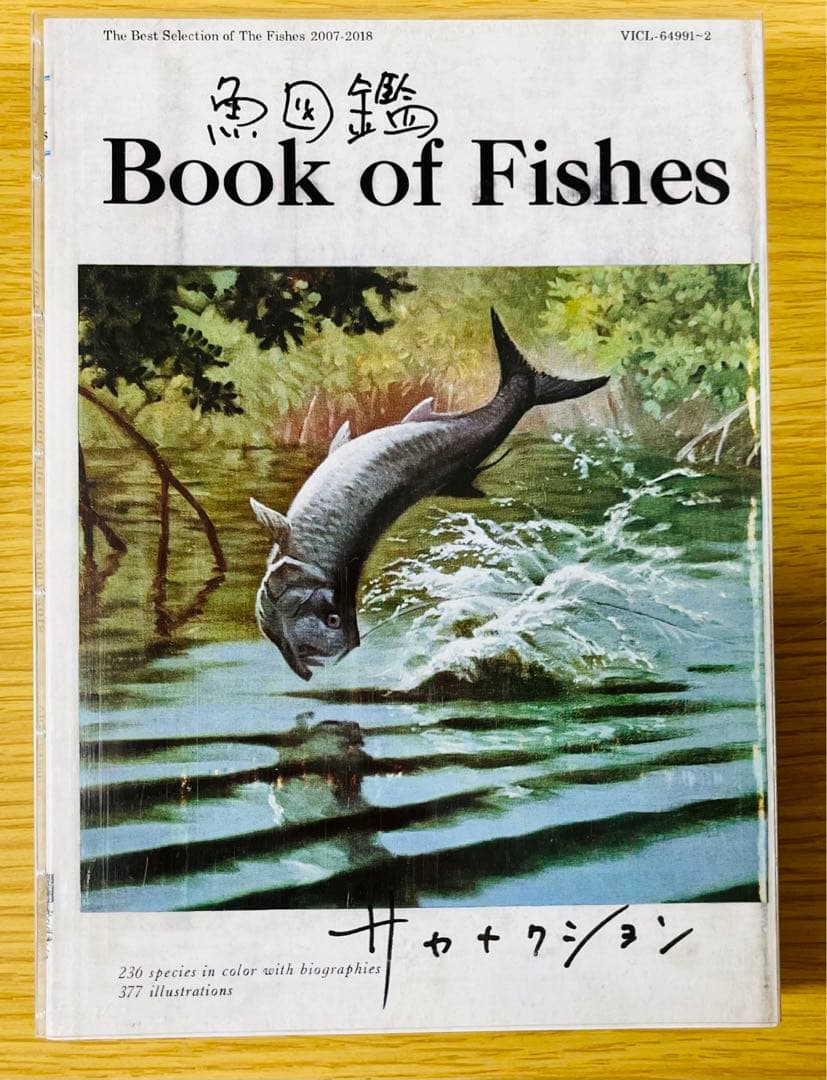 サカナクション アルバム全8枚&ベストアルバム魚図鑑&懐かしい月セット