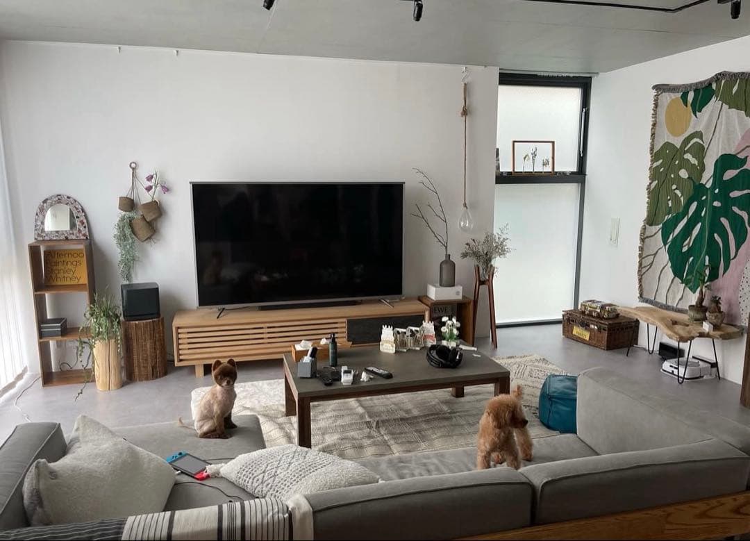 Slowdown studio モンステラ 大判ブランケット