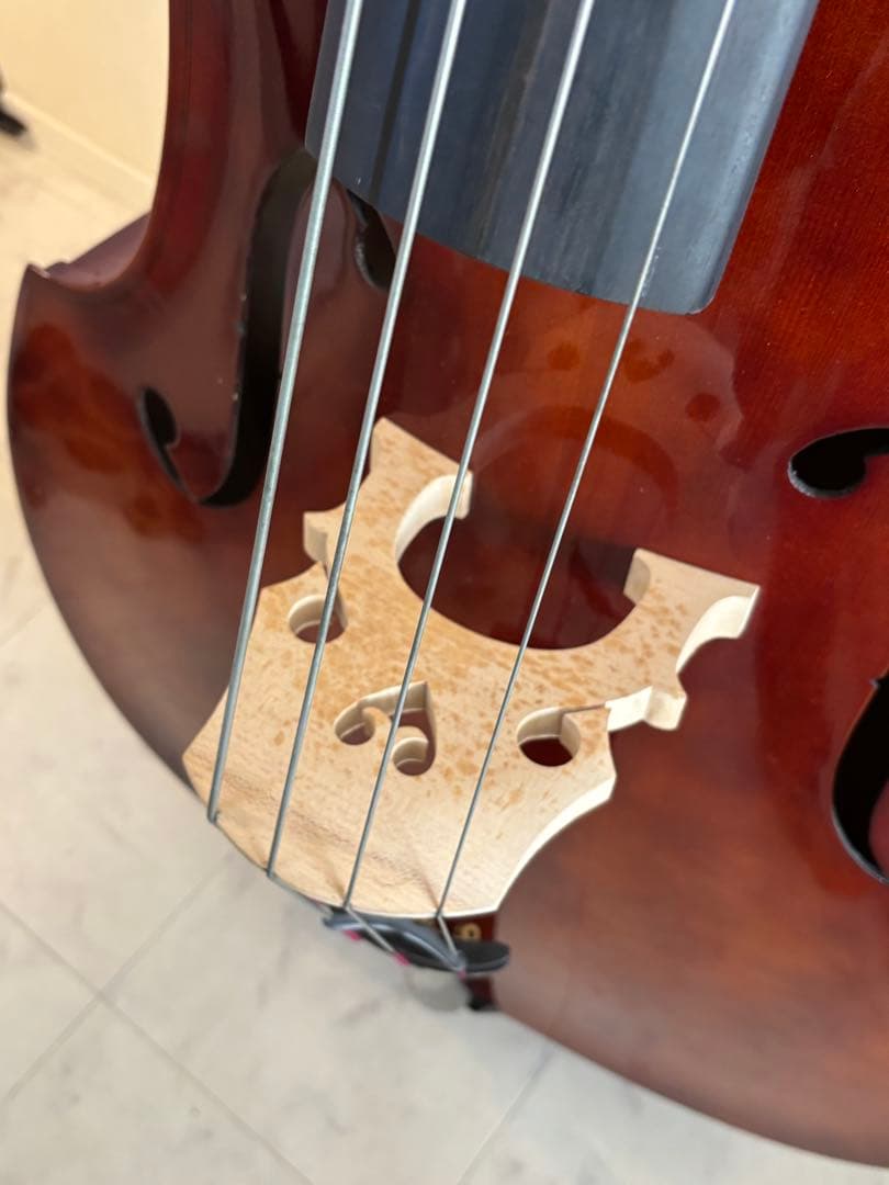 カルロジョルダーノ SB-150 ソフトケース付き （直接取引限定） - メルカリ