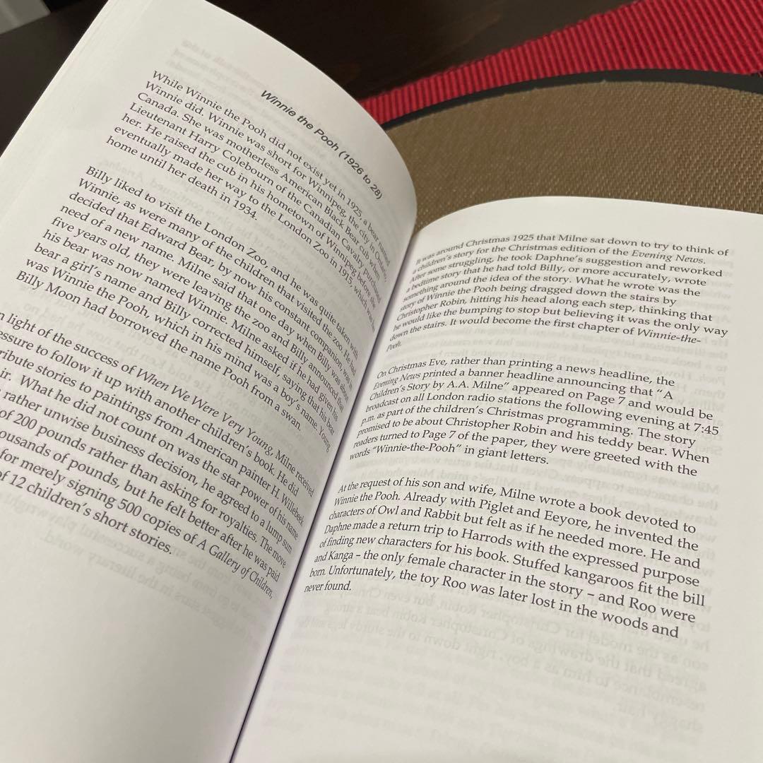 洋書 THE SANITY OF INSANITY by PAUL BRODY