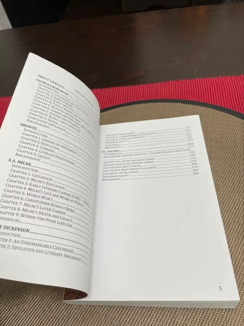 洋書 THE SANITY OF INSANITY by PAUL BRODY