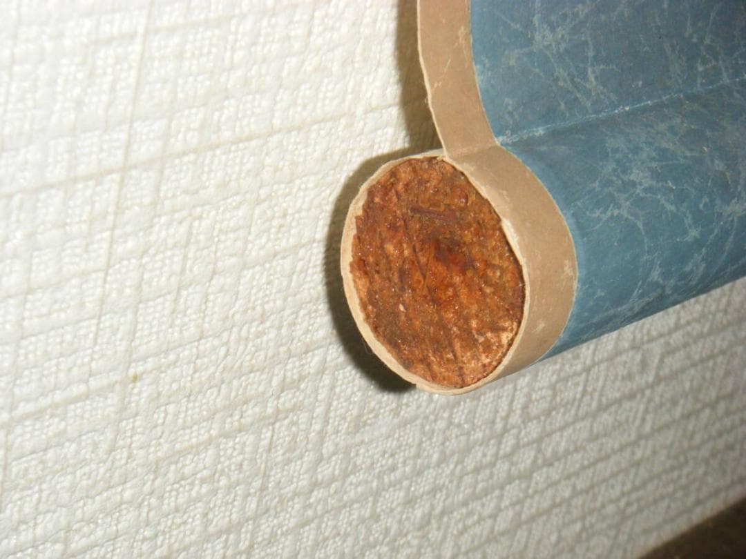 真作】掛軸 一字書 寿 逸品 O86