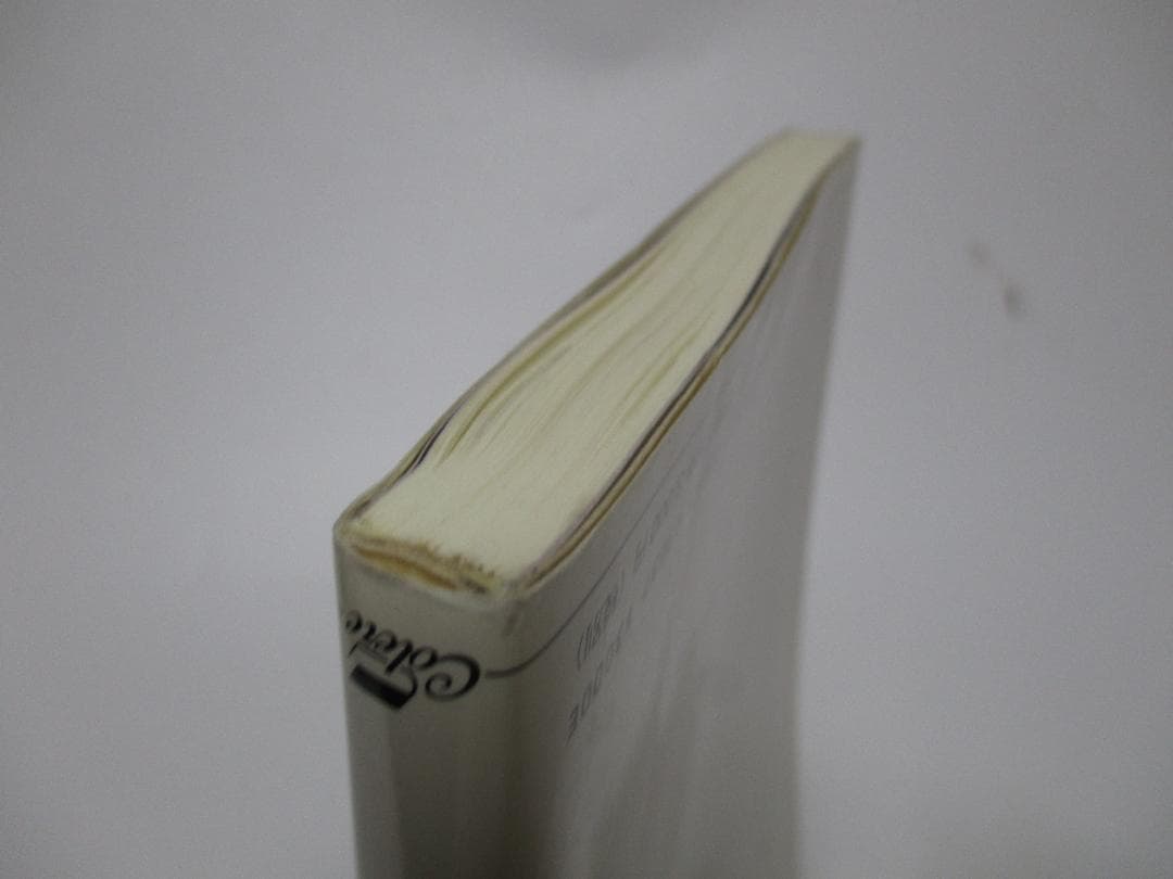 教師と親のための弱視レンズガイド