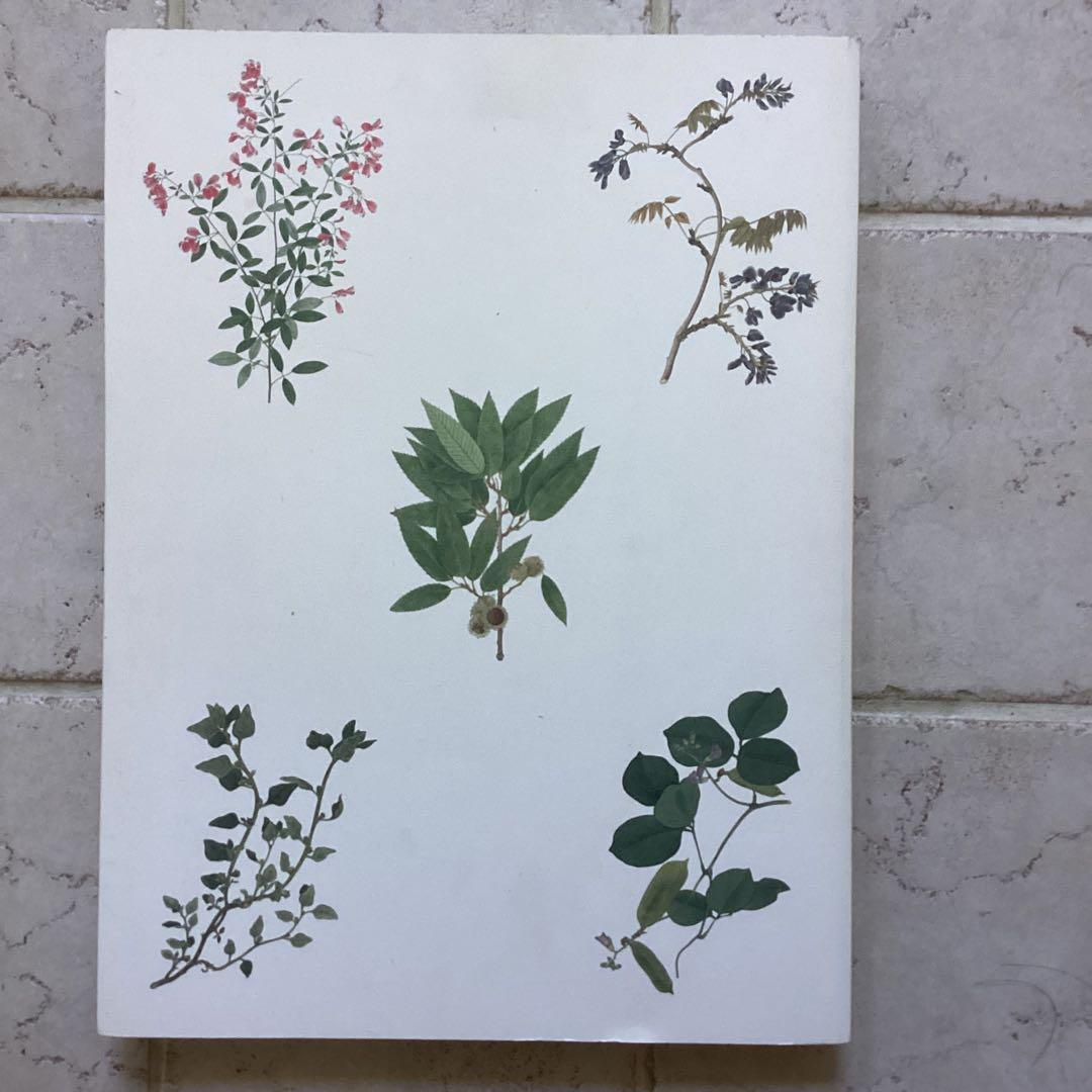 図録 シーボルト・コレクション日本植物図譜展 日本のボタニカル