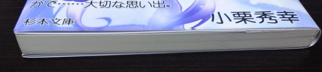 こころナビ いちばん遠い恋 小栗秀幸 杉本文庫