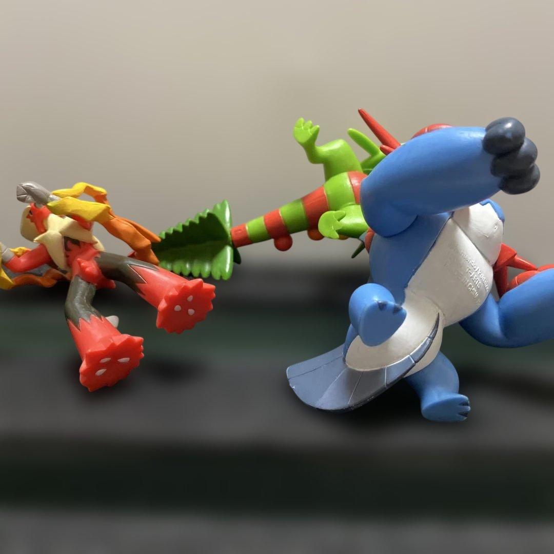 メガラグラージ、メガバシャーモ、メガジュカイン、モンコレ - メルカリ