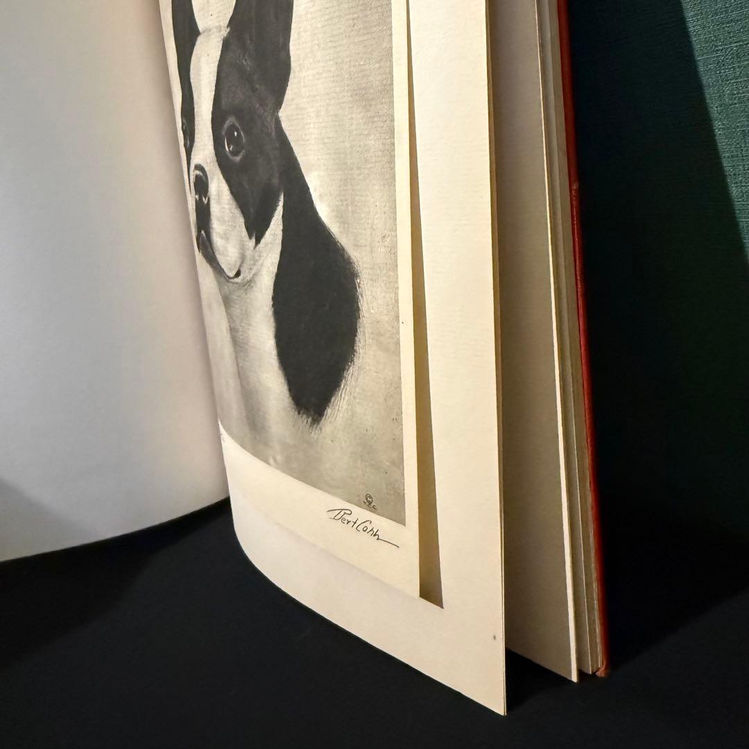 1931年出版 エッチング 犬 BERT COBB アメリカ - アート・デザイン