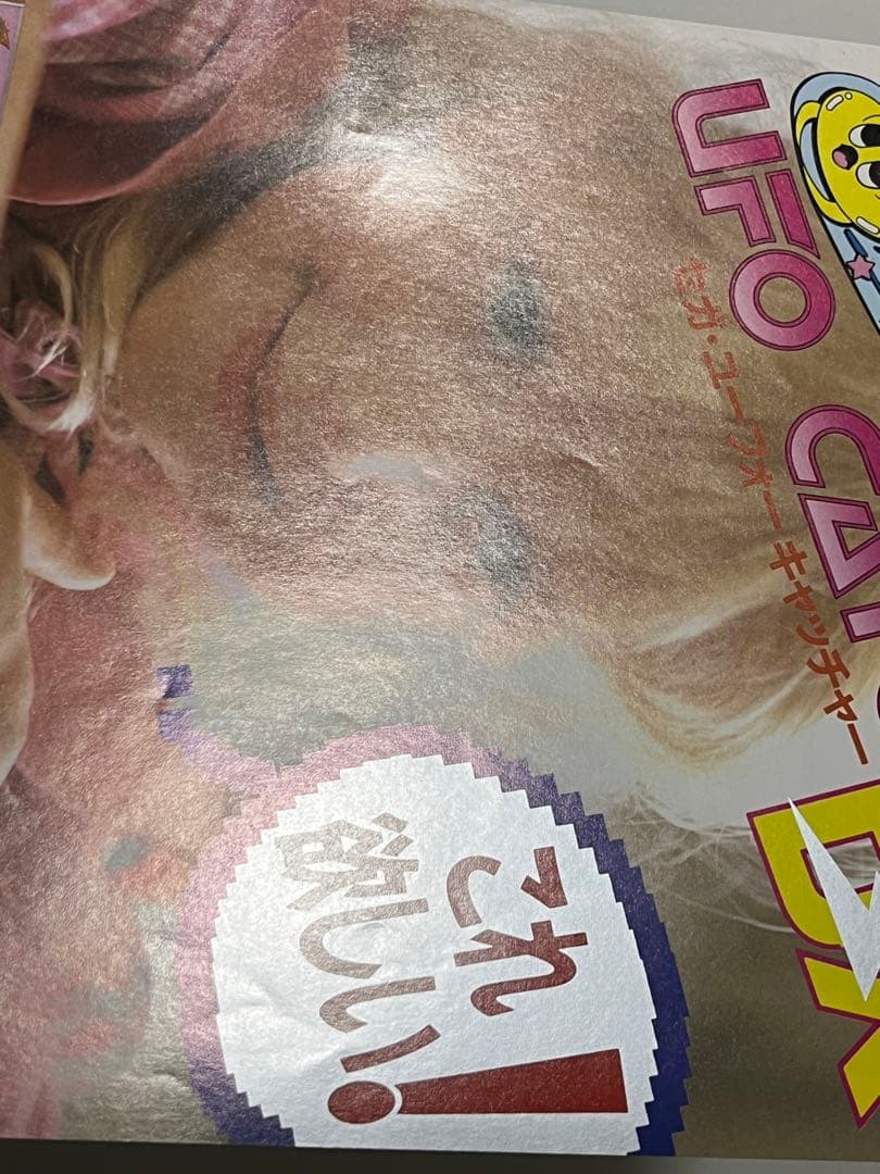 セガ UFOキャッチャーDX ドリームキャッチャー チラシ セット - メルカリ