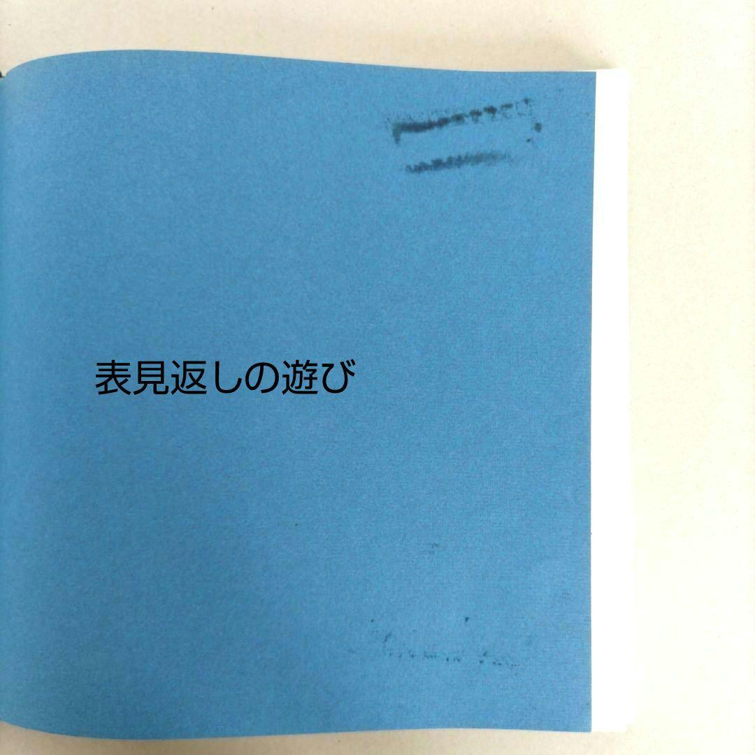 ARTE AFFICHES 1972-1977/ポスター 作品集 アート 洋書