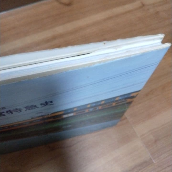 参宮特急史 鉄道写真集 1985年 - メルカリ