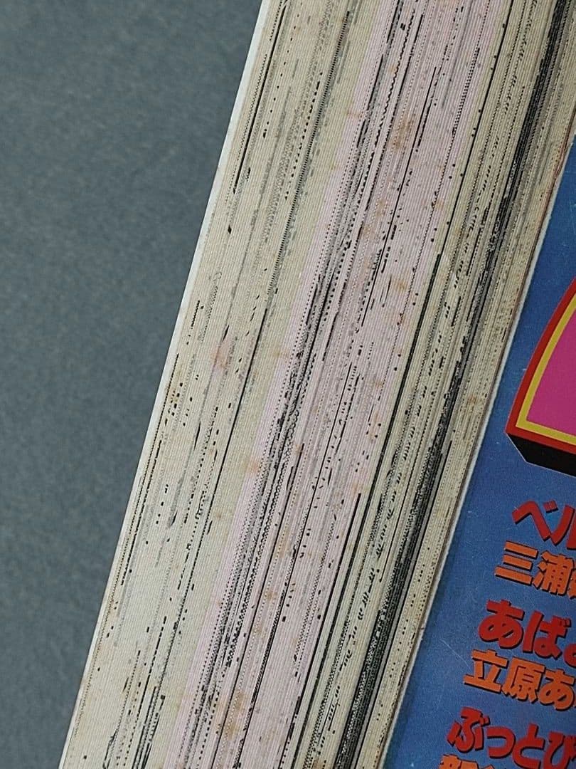 ヤングアニマル1995年4号/ベルセルク第52話/橋本典子表紙&水着グラビア