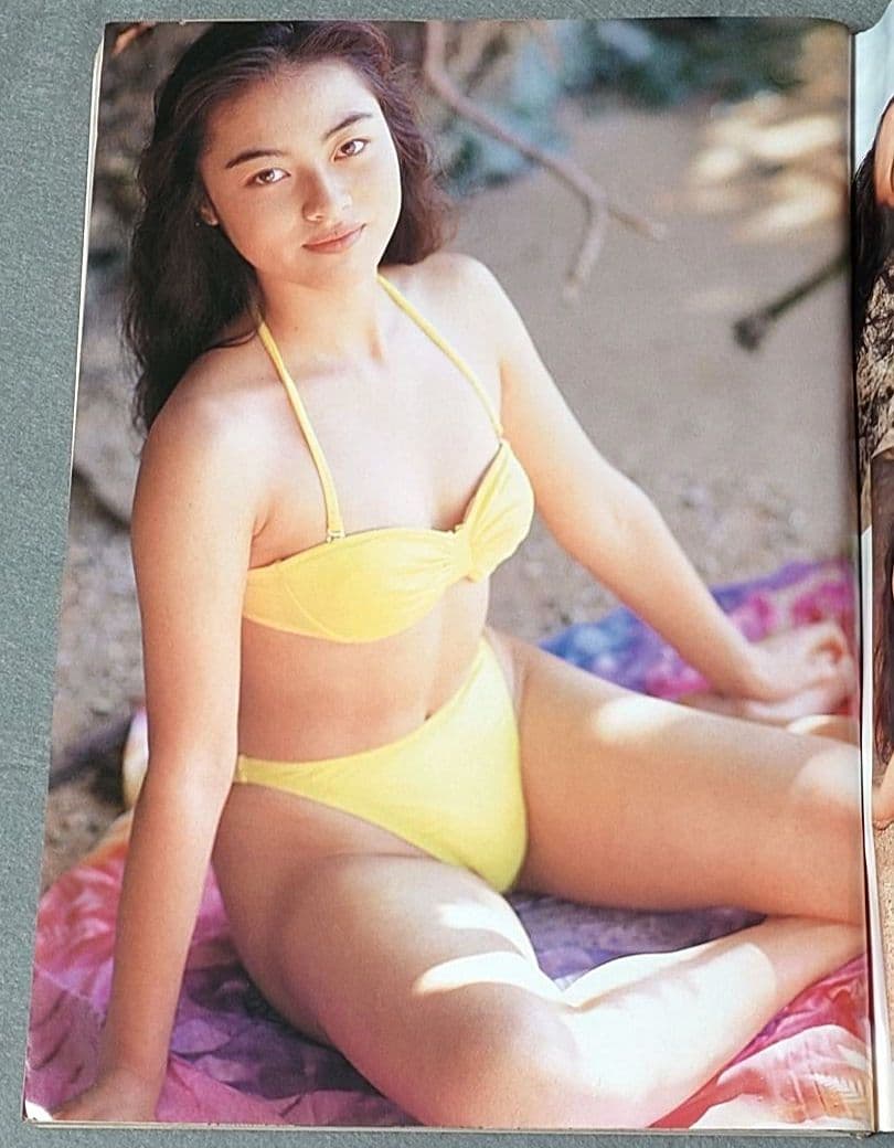 ヤングアニマル1995年4号/ベルセルク第52話/橋本典子表紙&水着グラビア