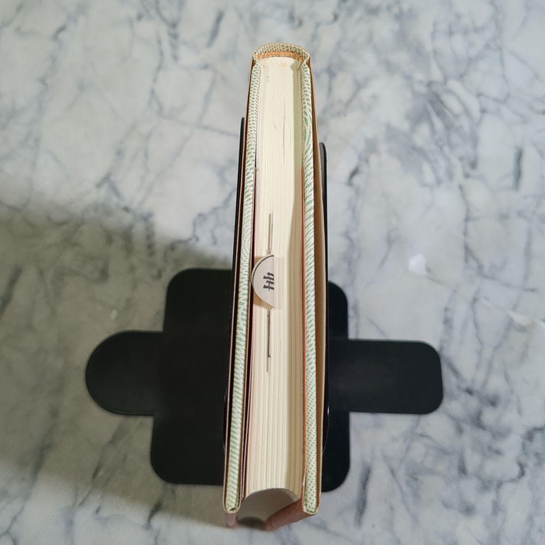 脳の迷路の冒険 安井武著