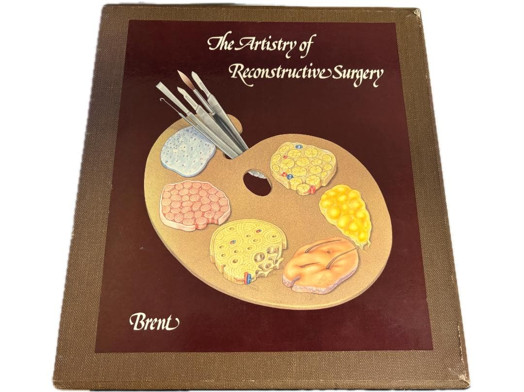 健康・医学 The Artistry of Reconstructive Surgery Plastic & Reconstructive Surgery: 洋雑誌／南江堂