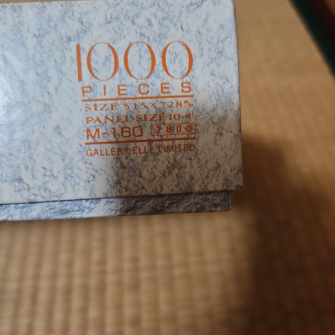 F1 アイルトンセナ ジグソーパズル 完成品 - メルカリ