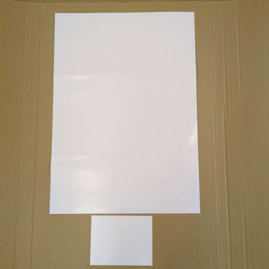 スイッチ2 マリオテニス フィーバー 販促用 B2ポスターとダミー