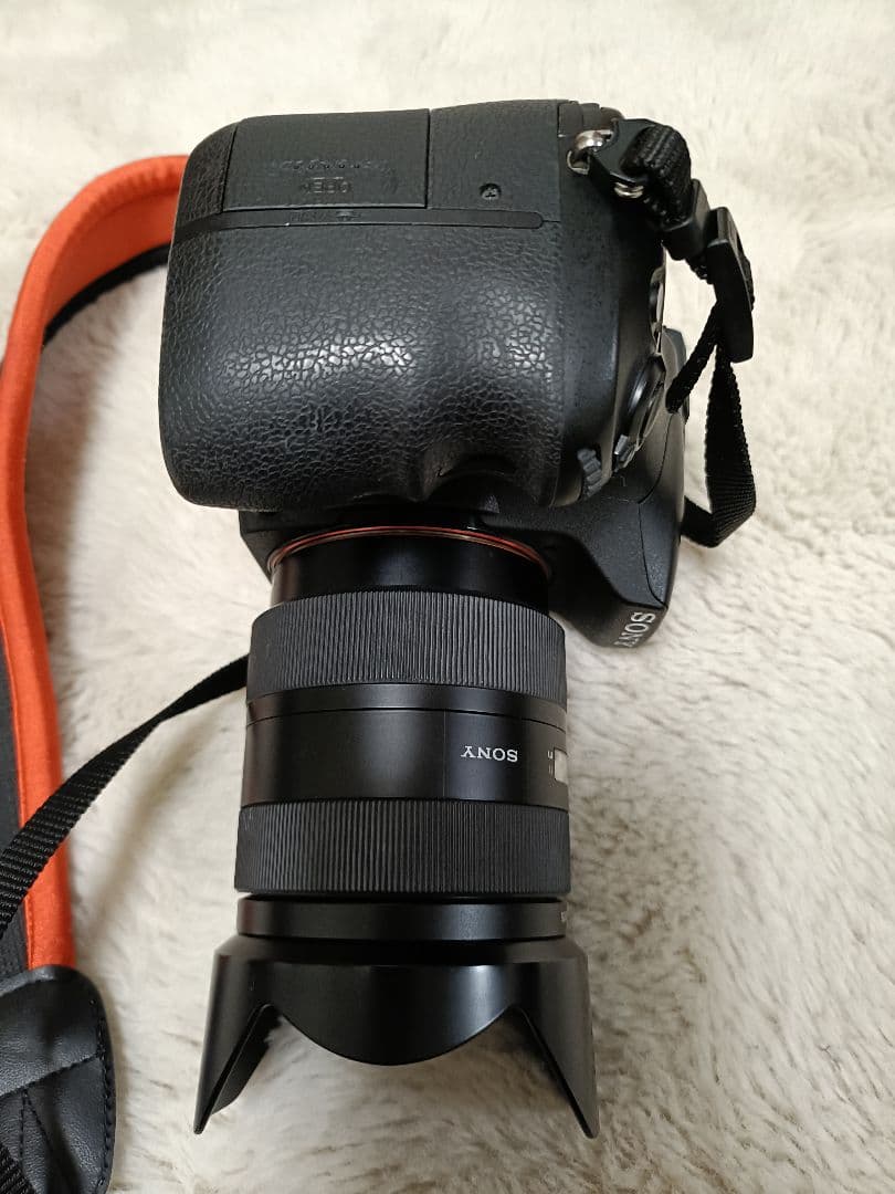 美品SONY α77+DT16-105mmf3.5-5.6