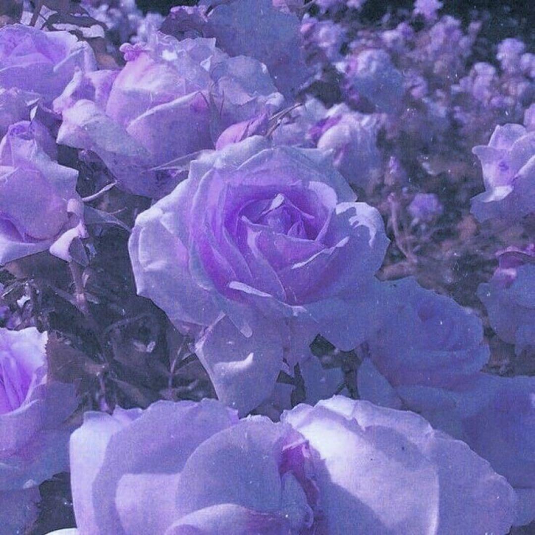 そらら 小美玉市 空の駅“そ・ら・ら”がオープン！(^0_0^) | 茨城県地域資源