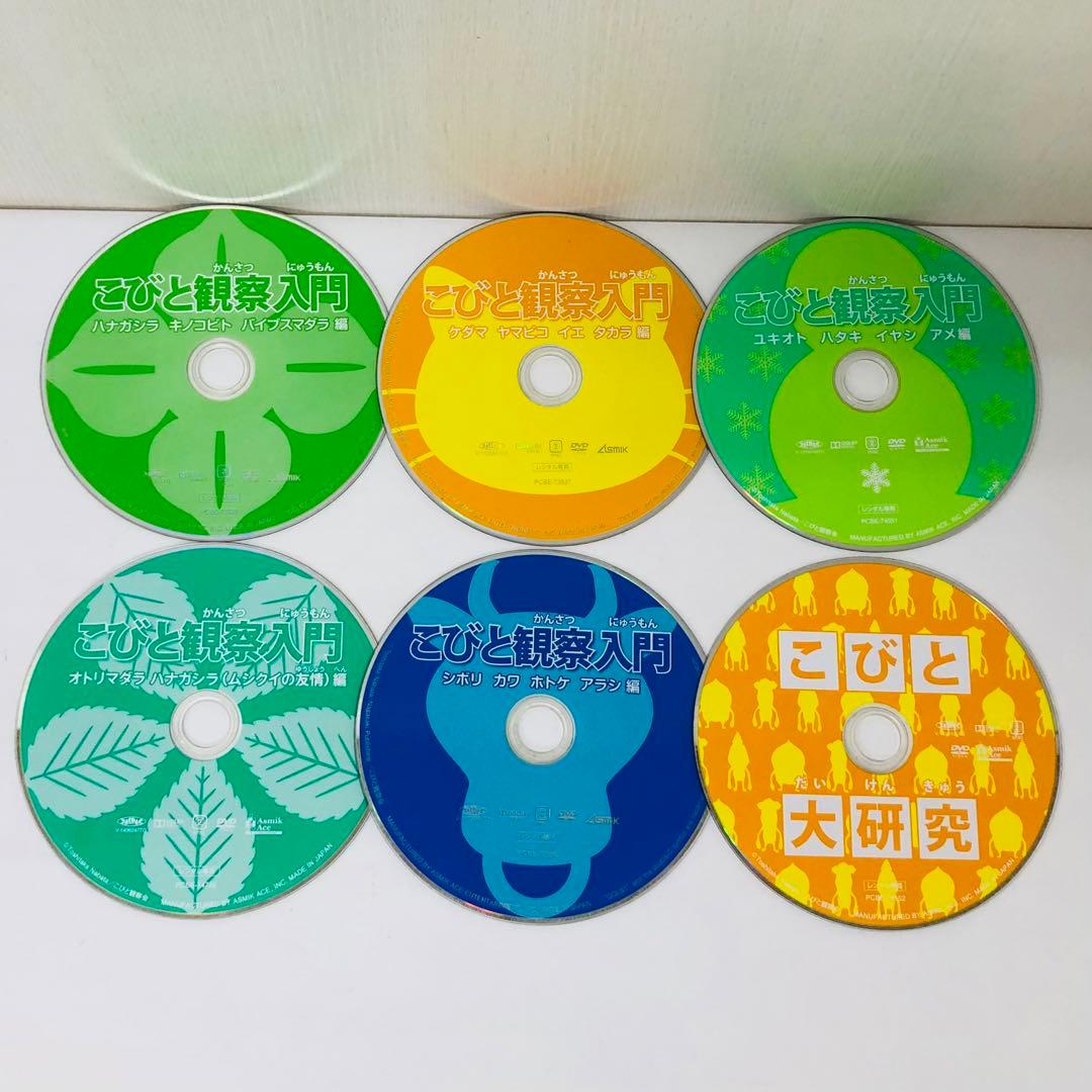 こびと観察入門/こびと大研究 DVD6枚セット 全巻送料無料 - メルカリ
