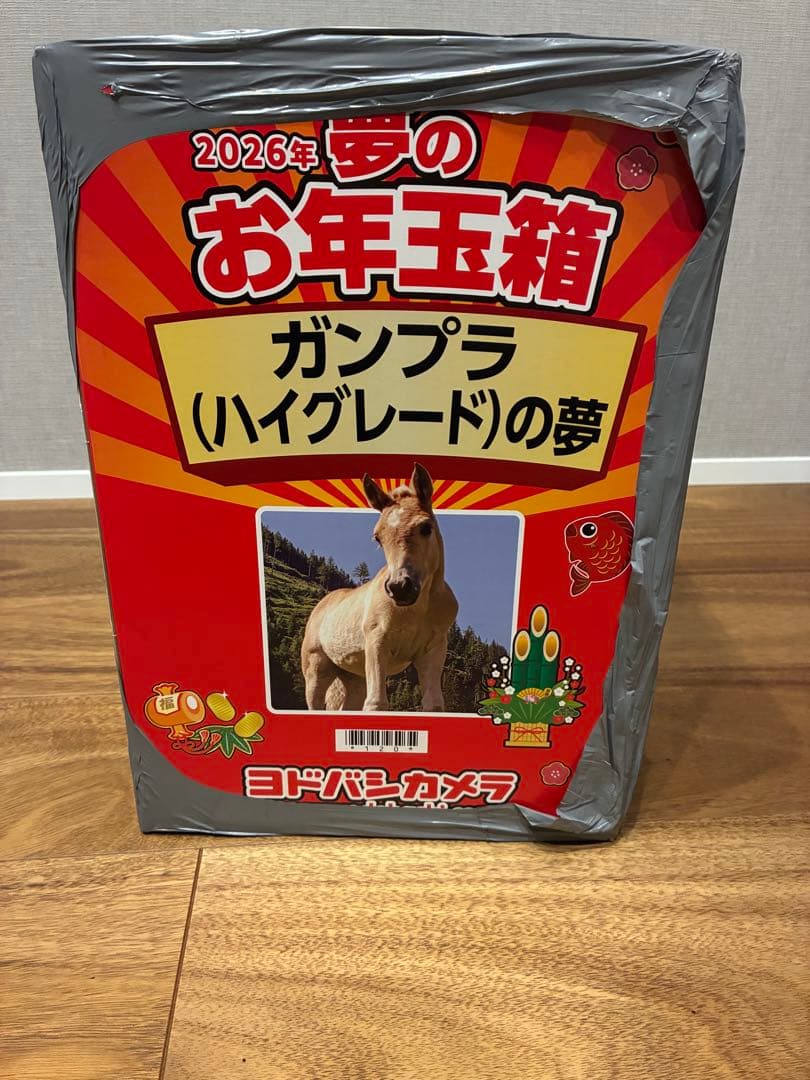 夢のお年玉箱 ガンプラHGの夢 ヨドバシ